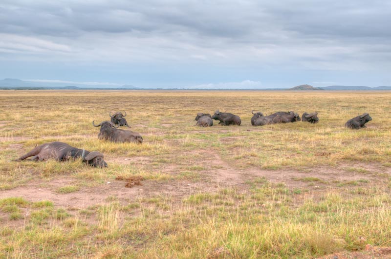 kenya_2012_KEN_1617_hdr